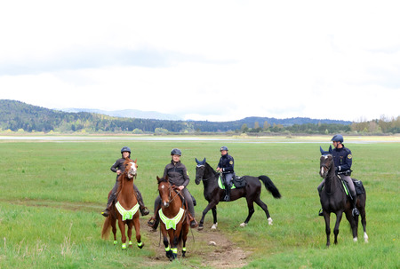 Skupen nadzor konjenikov NRP 11 Foto Ljubo Vukelič